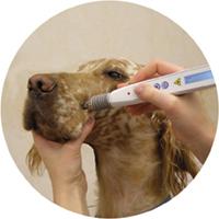 Laser acupuncture dog, beam penetration into the tissue